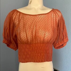 Free People Burnt Orange Sheer Blouse